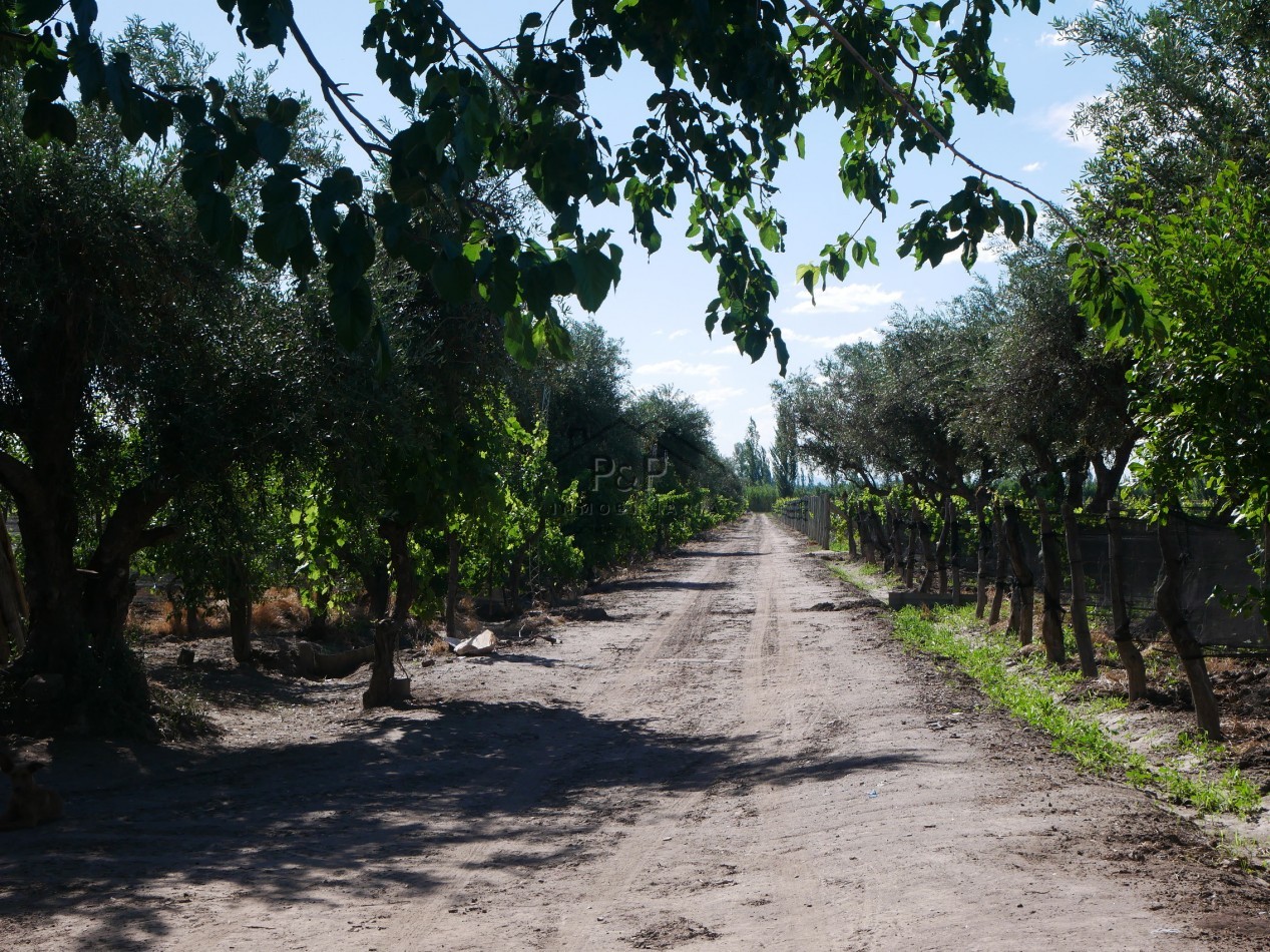 Finca 10 hect. Rama Caida