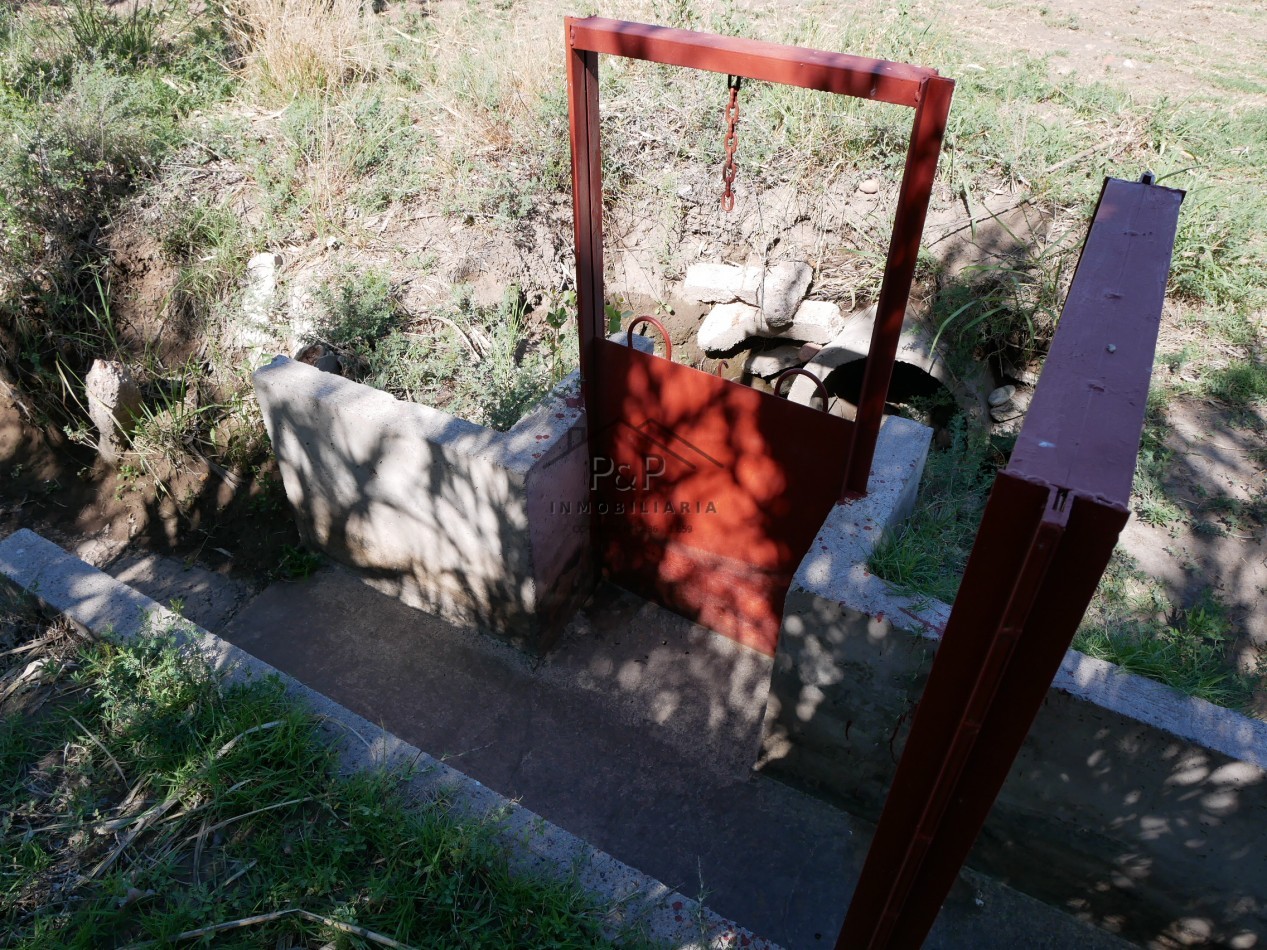 Finca 10 hect. Rama Caida