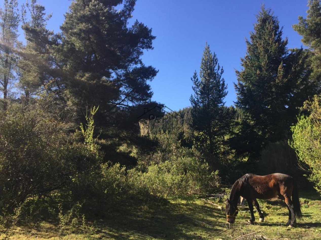 7,5 Hect. Ruta Nac N°40 - El Bolson - Rio negro 