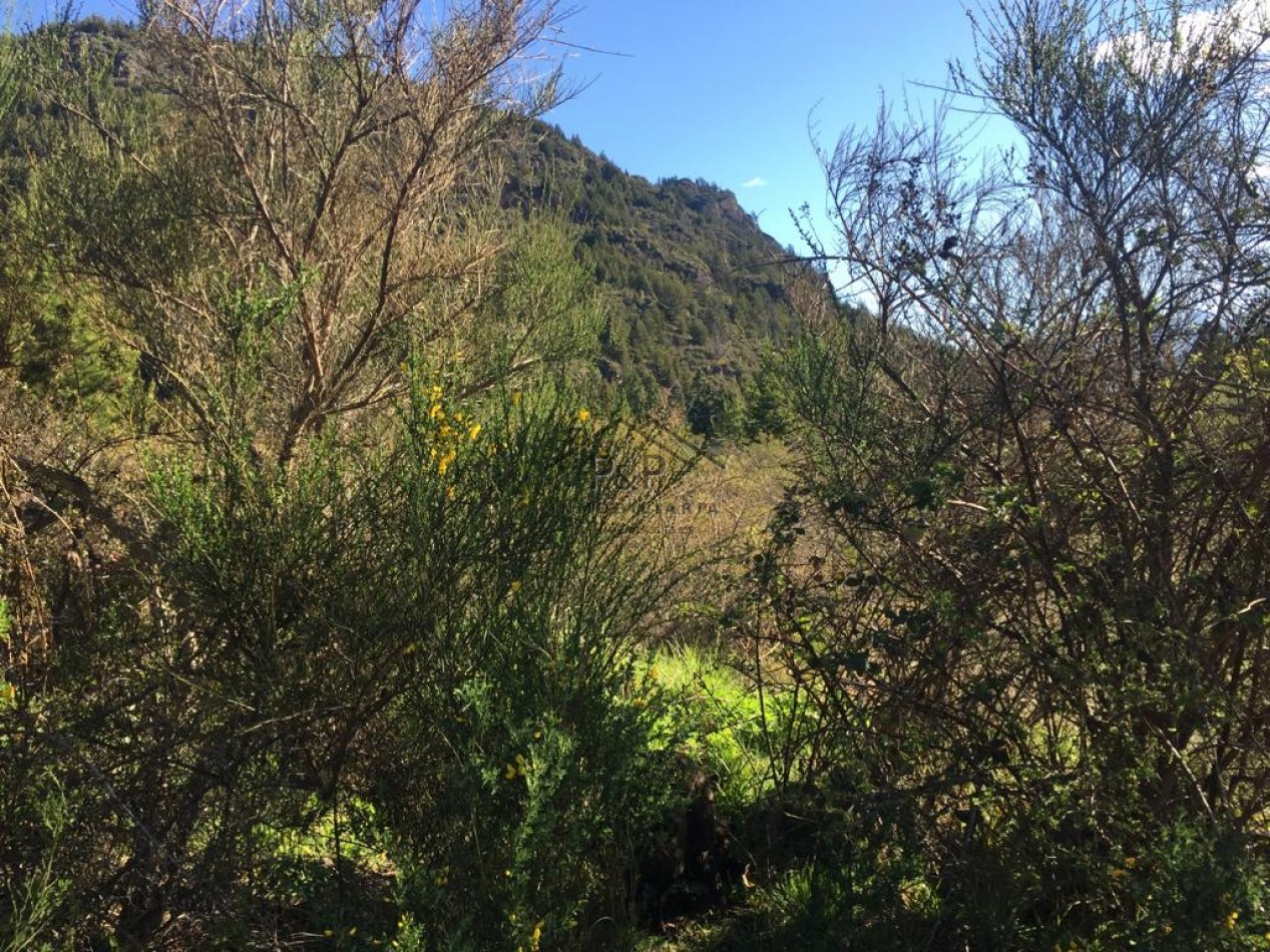 7,5 Hect. Ruta Nac N°40 - El Bolson - Rio negro 