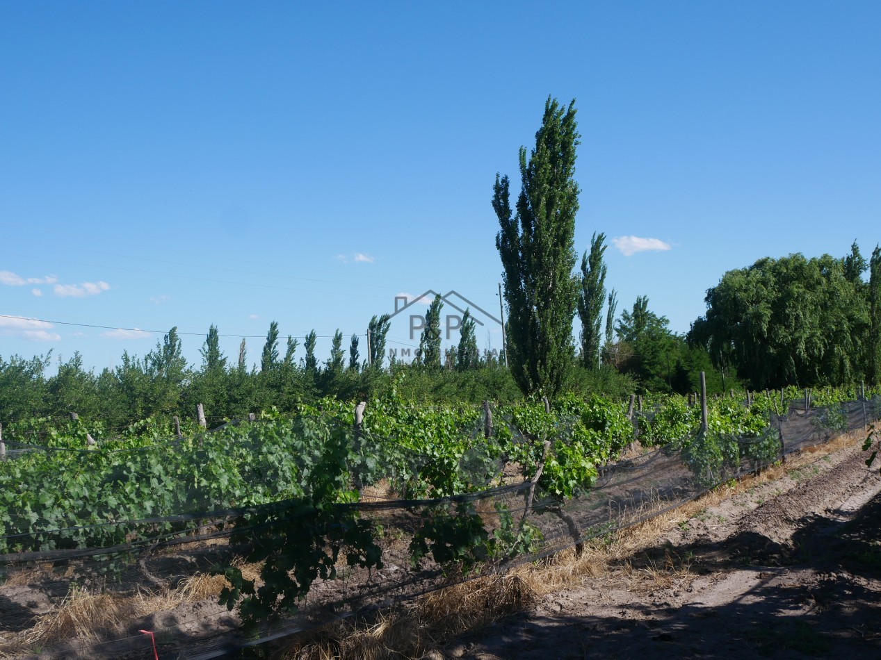 Finca 10 hect. Rama Caida