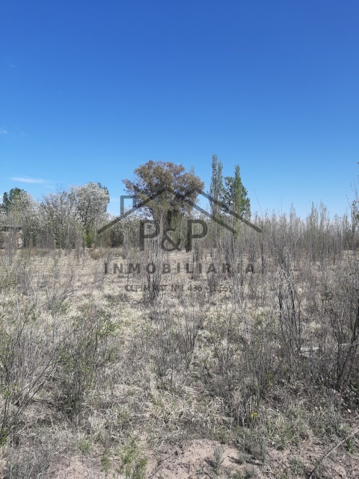 1,5 hect. en venta con Casa