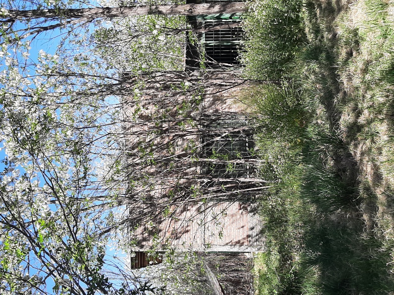 1,5 hect. en venta con Casa