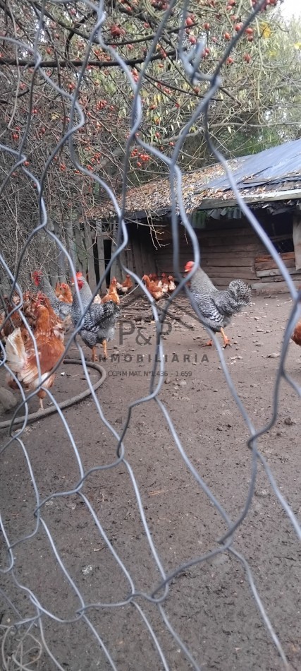 7,5 Hect. Ruta Nac N°40 - El Bolson - Rio negro 