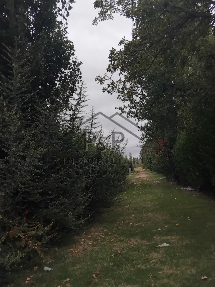 1,9 hect. San Rafael