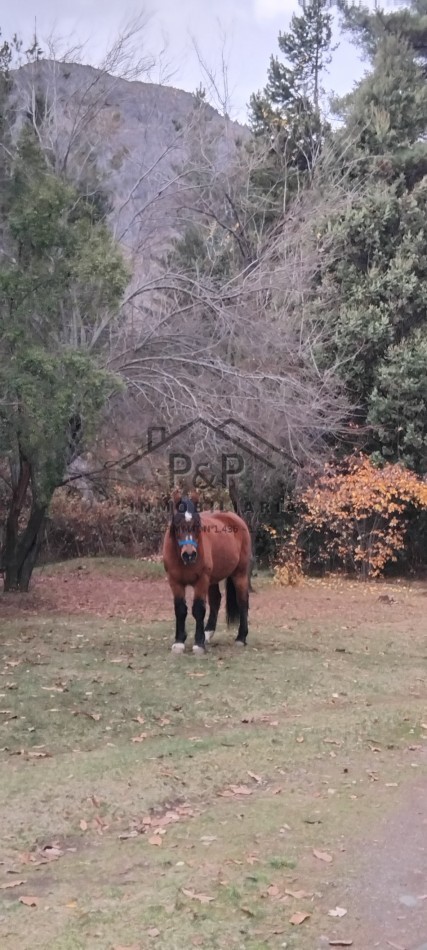 7,5 Hect. Ruta Nac N°40 - El Bolson - Rio negro 