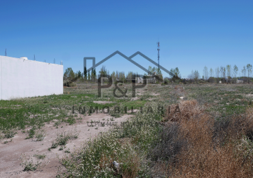 Lote 5000 m. 20 de Junio